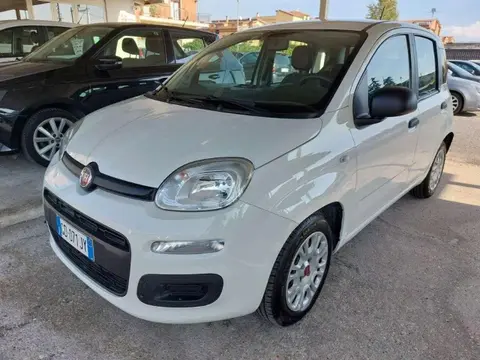 Used FIAT PANDA Hybrid 2020 Ad 