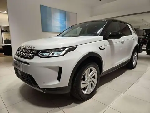 Used LAND ROVER DISCOVERY Hybrid 2021 Ad 