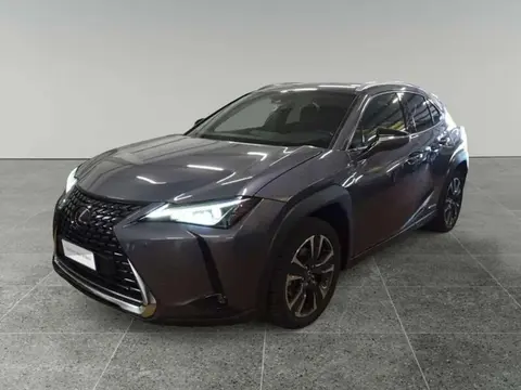 Used LEXUS UX Hybrid 2020 Ad 