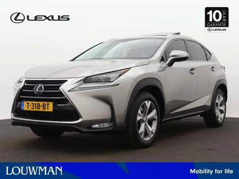 Annonce LEXUS NX Hybride 2017 d'occasion 