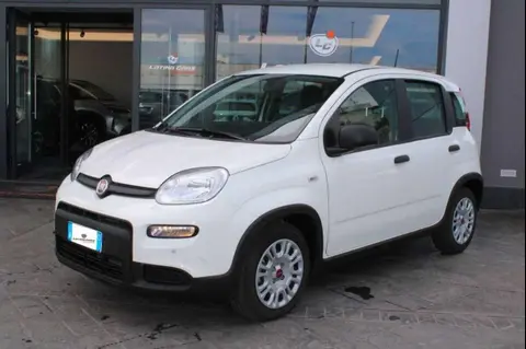 Used FIAT PANDA Hybrid 2023 Ad 