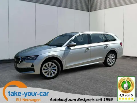 Used SKODA OCTAVIA Diesel 2024 Ad 