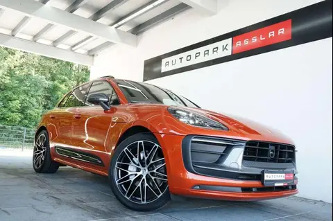 Used PORSCHE MACAN Petrol 2023 Ad 