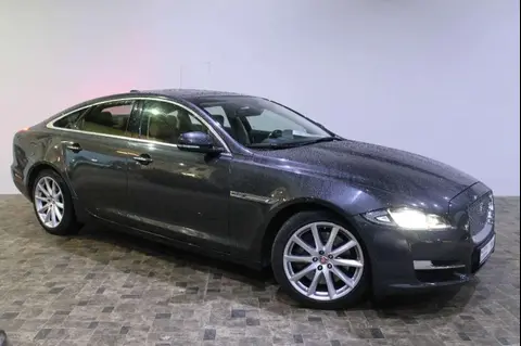 Annonce JAGUAR XJ Diesel 2017 d'occasion 