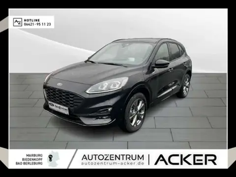 Used FORD KUGA Hybrid 2024 Ad 