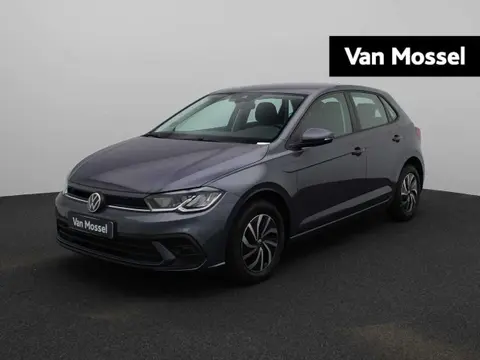 Used VOLKSWAGEN POLO Petrol 2022 Ad 