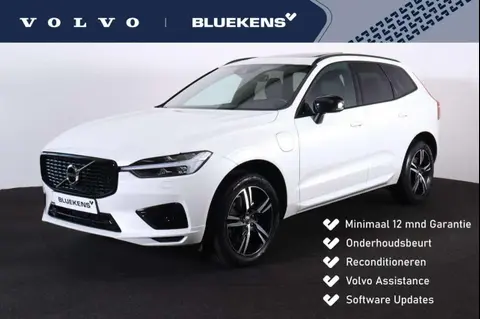 Annonce VOLVO XC60 Hybride 2021 d'occasion 