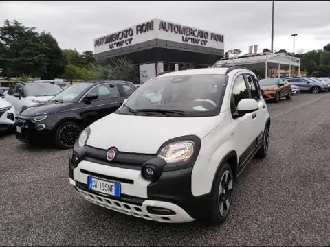 Annonce FIAT PANDA  2024 d'occasion 