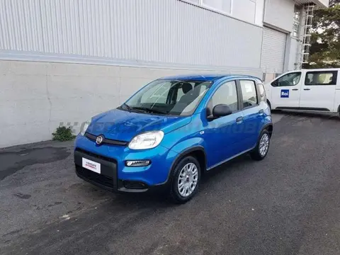 Annonce FIAT PANDA Hybride 2024 d'occasion 