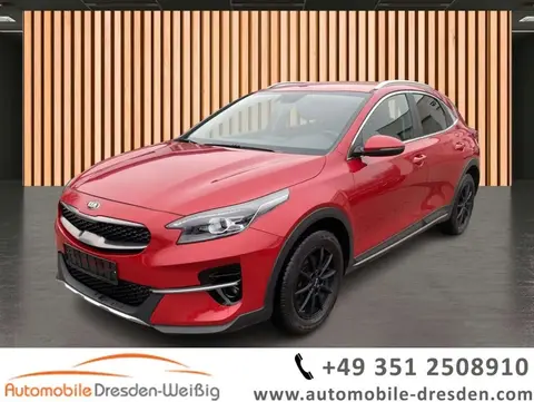 Annonce KIA XCEED Essence 2021 d'occasion 