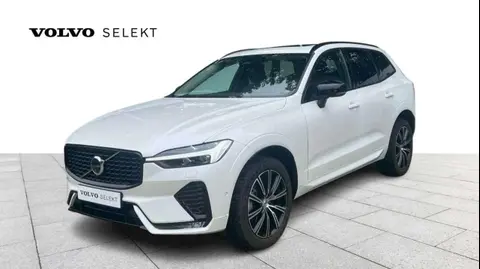 Annonce VOLVO XC60 Essence 2024 d'occasion Belgique