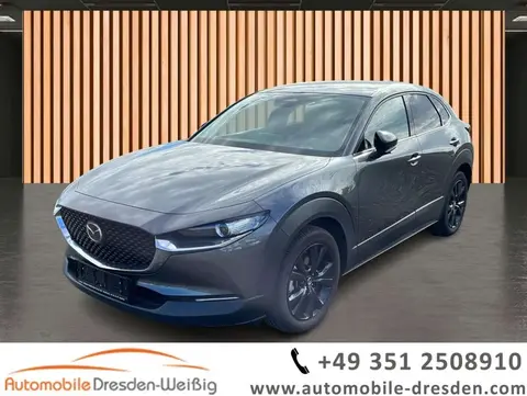 Annonce MAZDA CX-30 Essence 2024 d'occasion Allemagne