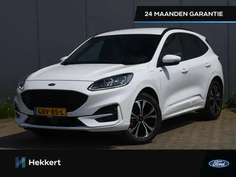 Annonce FORD KUGA Hybride 2021 d'occasion 