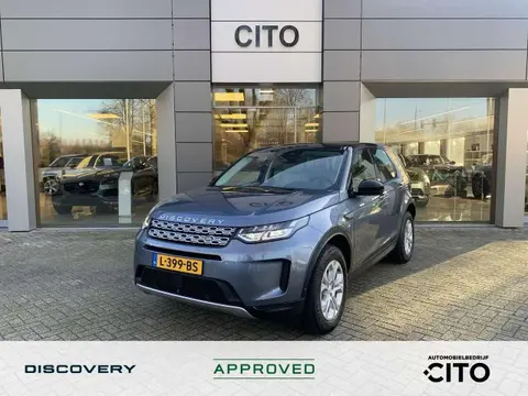 Used LAND ROVER DISCOVERY Hybrid 2021 Ad 