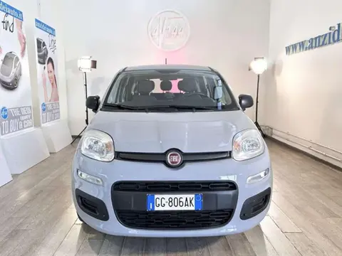 Annonce FIAT PANDA Hybride 2021 d'occasion 