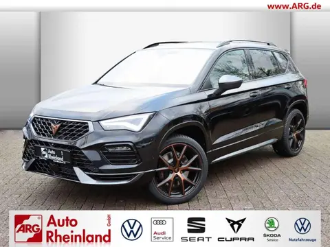 Annonce CUPRA ATECA Essence 2024 d'occasion 