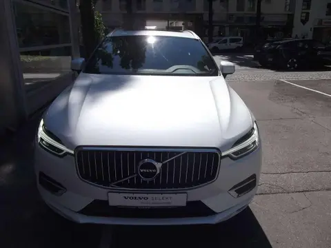 Annonce VOLVO XC60 Diesel 2020 d'occasion 