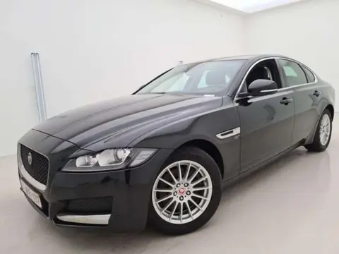 Used JAGUAR XF Diesel 2019 Ad 