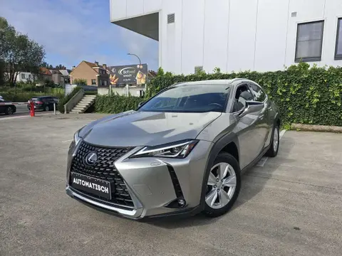 Used LEXUS UX Hybrid 2019 Ad 