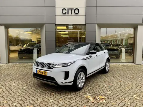 Used LAND ROVER RANGE ROVER EVOQUE Hybrid 2019 Ad 