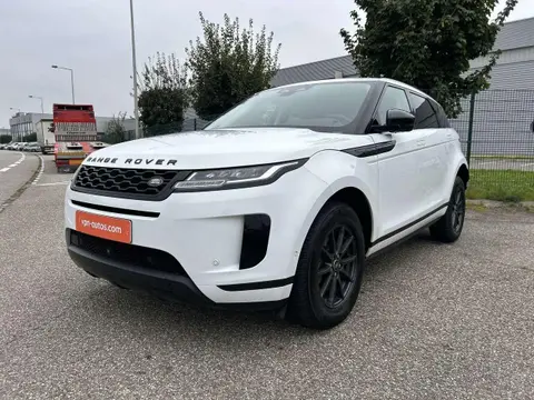 Used LAND ROVER RANGE ROVER EVOQUE Diesel 2021 Ad 