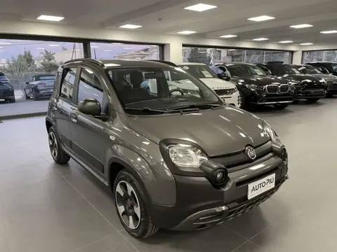 Annonce FIAT PANDA Hybride 2022 d'occasion 