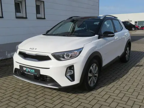 Used KIA STONIC Petrol 2022 Ad 