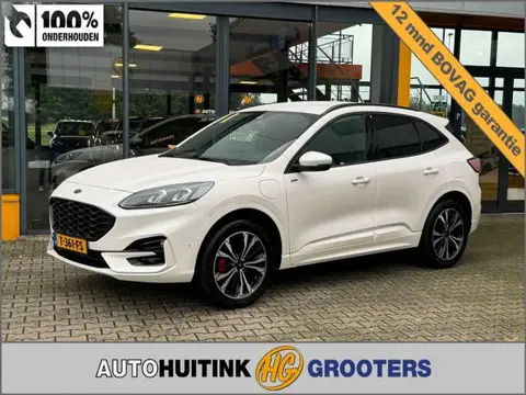 Annonce FORD KUGA Hybride 2022 d'occasion 