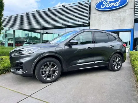 Used FORD KUGA Hybrid 2023 Ad 