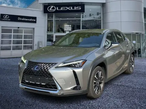 Used LEXUS UX Hybrid 2020 Ad 