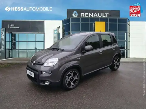 Annonce FIAT PANDA  2021 d'occasion 