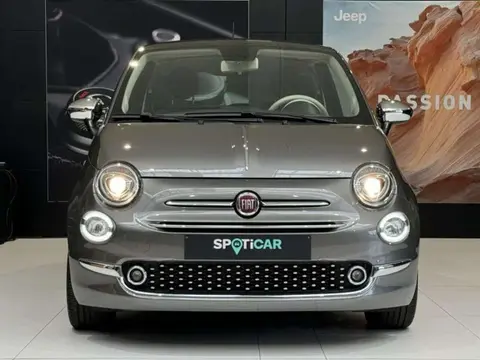 Used FIAT 500 Petrol 2021 Ad 