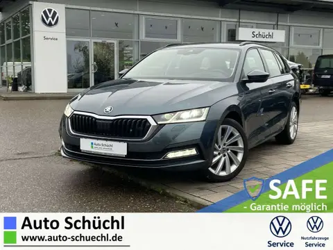 Annonce SKODA OCTAVIA Diesel 2021 d'occasion 