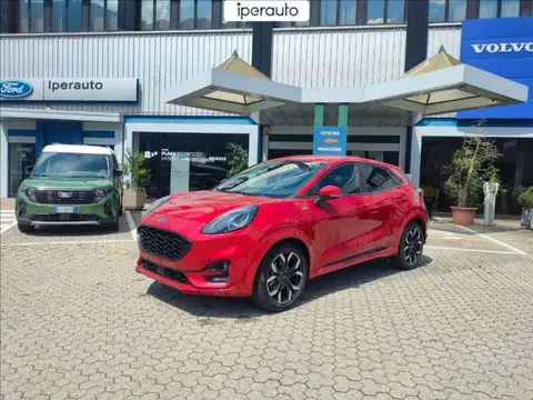 Used FORD PUMA Hybrid 2024 Ad 