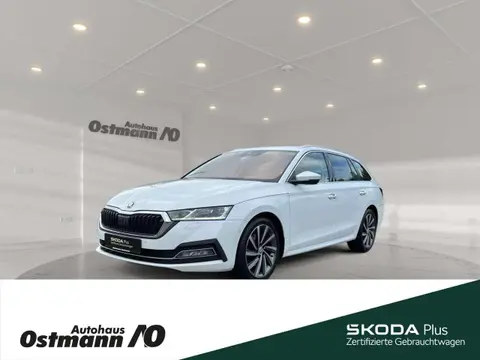 Used SKODA OCTAVIA Petrol 2020 Ad 