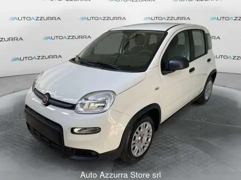 Used FIAT PANDA Hybrid 2024 Ad 