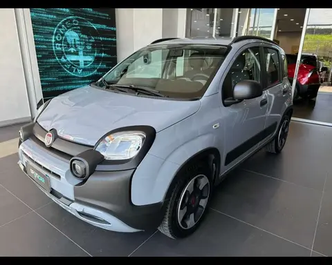 Used FIAT PANDA Hybrid 2021 Ad 