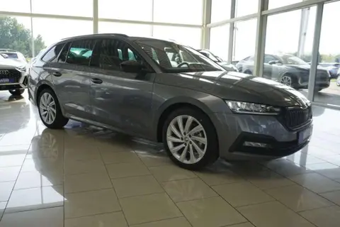 Used SKODA OCTAVIA Petrol 2023 Ad 