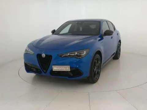 Used ALFA ROMEO STELVIO Diesel 2023 Ad 