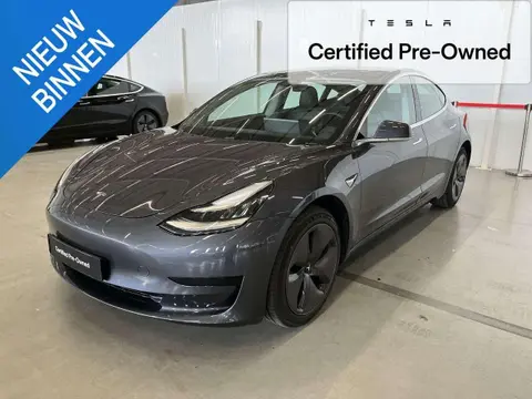 Used TESLA MODEL 3 Electric 2019 Ad 