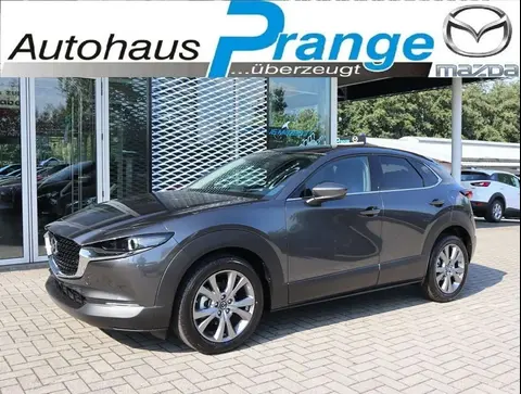 Used MAZDA CX-30 Petrol 2020 Ad 