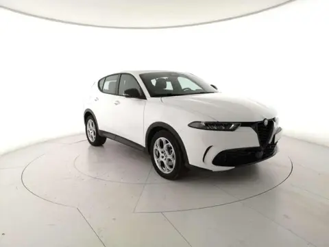 Annonce ALFA ROMEO TONALE Hybride 2022 d'occasion 