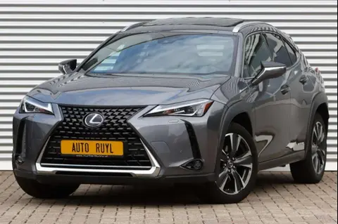 Used LEXUS UX Hybrid 2021 Ad 