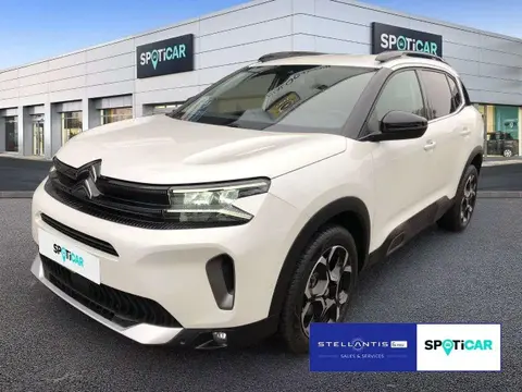 Used CITROEN C5 AIRCROSS Diesel 2023 Ad 