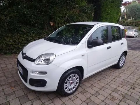 Used FIAT PANDA Petrol 2019 Ad 