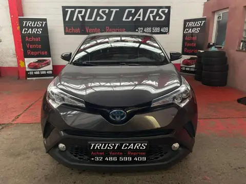 Used TOYOTA C-HR Hybrid 2019 Ad 