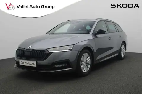 Used SKODA OCTAVIA Petrol 2023 Ad 