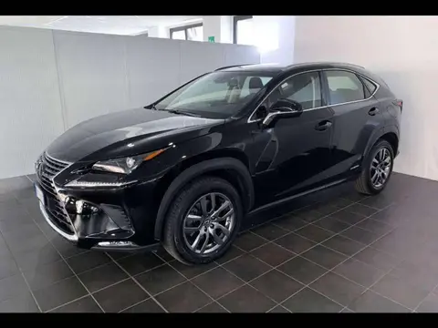 Annonce LEXUS NX Hybride 2019 d'occasion 