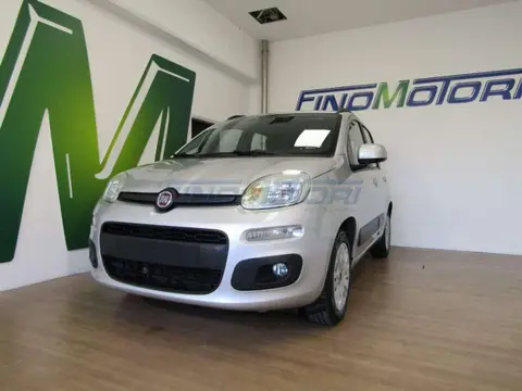 Used FIAT PANDA Petrol 2019 Ad 