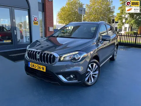 Annonce SUZUKI S-CROSS Hybride 2021 d'occasion 